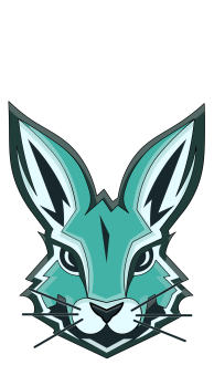 Vaillant Logo